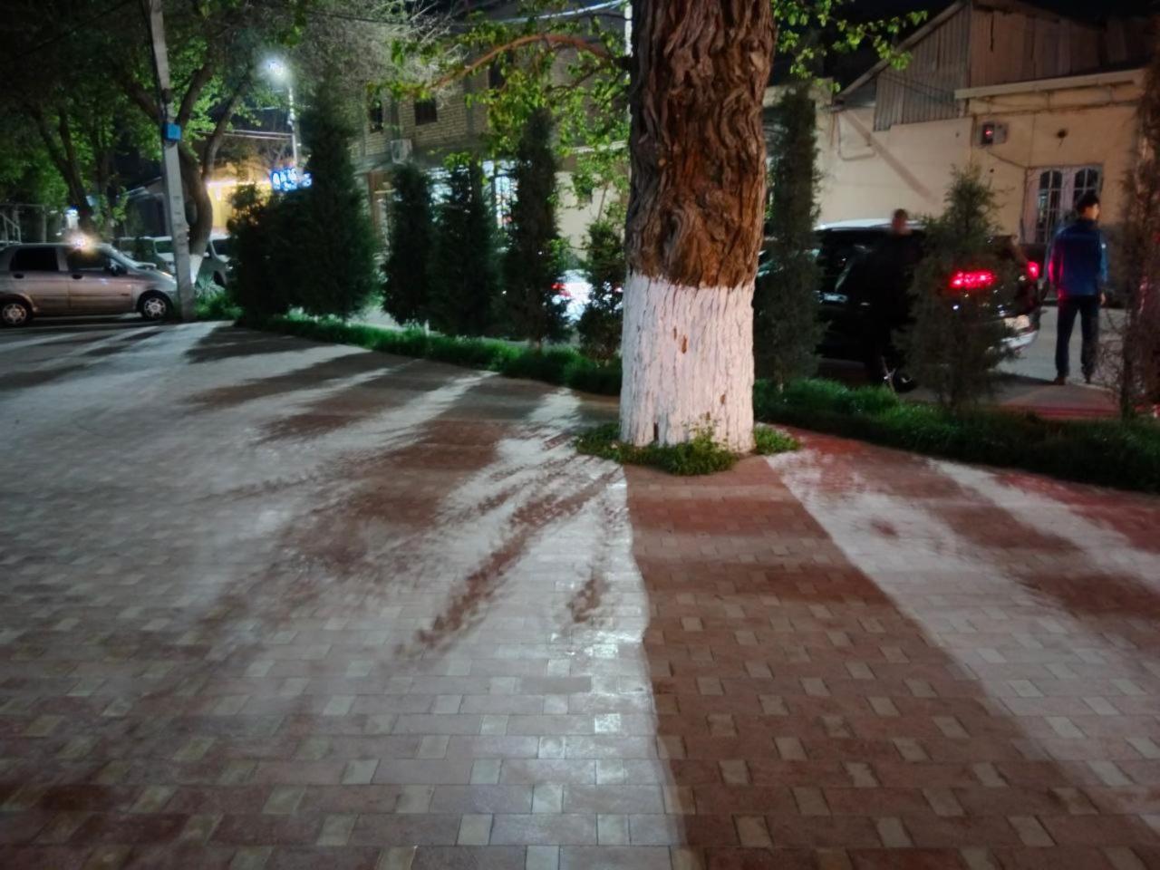 Gulsara Hostel Samarkand Exterior photo
